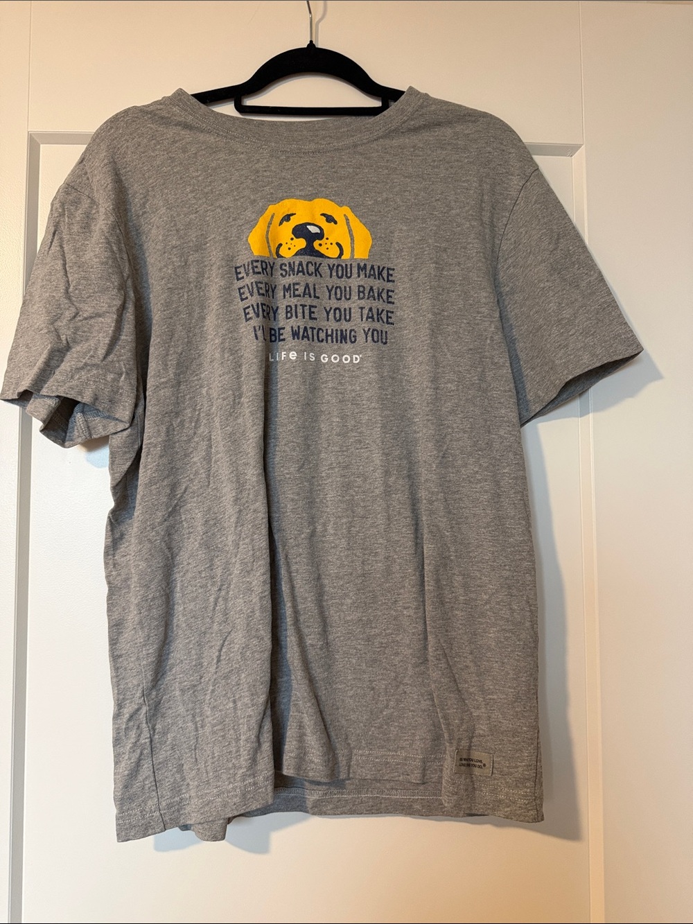 Life Is Good Gray Short Sleeve Tee with Yellow Dog Graphic